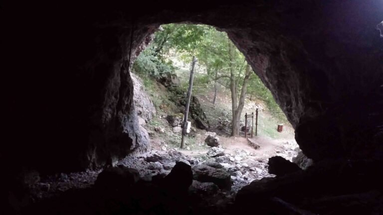 Philemon Mukarno Performance Art Queer Shadow (2019)'30 Sesalac Butoh Retreat, Serbia.