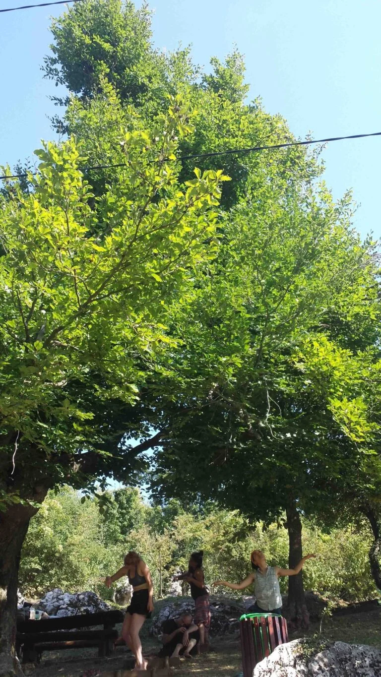 Philemon Mukarno Performance Art Queer Shadow (2019)'30 Sesalac Butoh Retreat, Serbia.