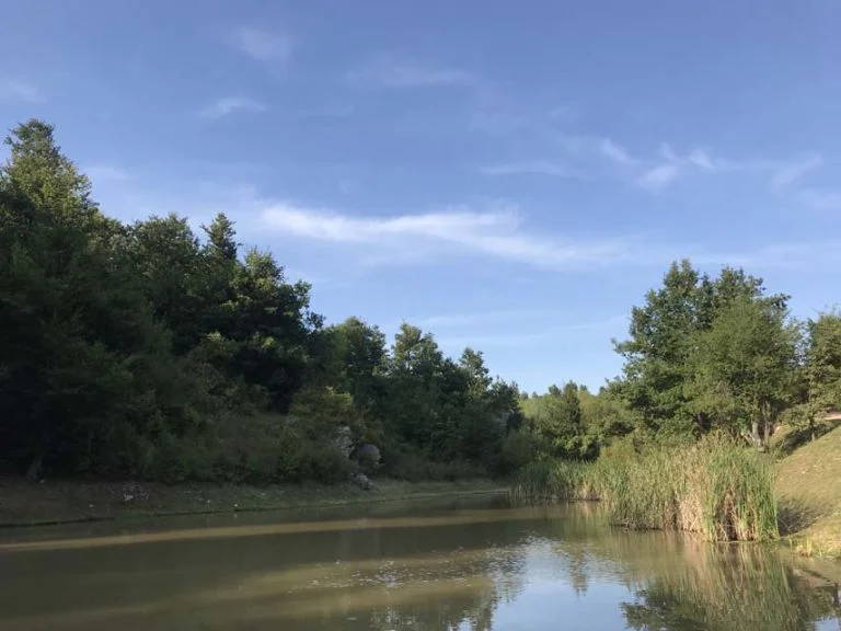 Philemon Mukarno Performance Art Queer Shadow (2019)'30 Sesalac Butoh Retreat, Serbia.