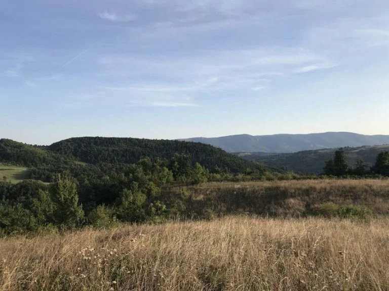 Philemon Mukarno Performance Art Queer Shadow (2019)'30 Sesalac Butoh Retreat, Serbia.