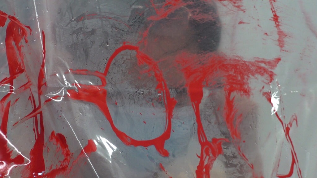 Philemon Mukarno bleeding and naked inside the plastic bag suffocating