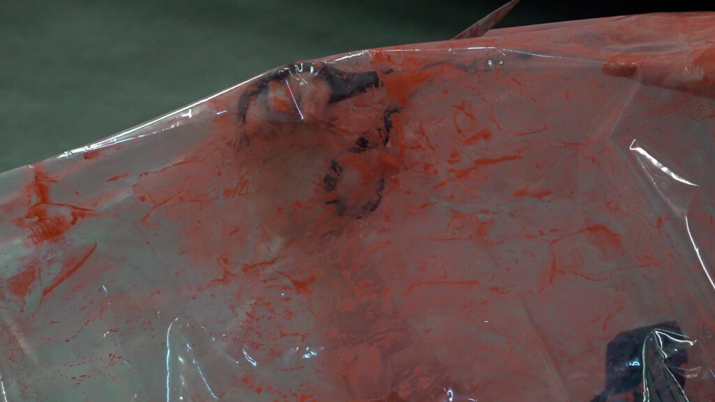 Philemon Mukarno bleeding and naked inside the plastic bag suffocating