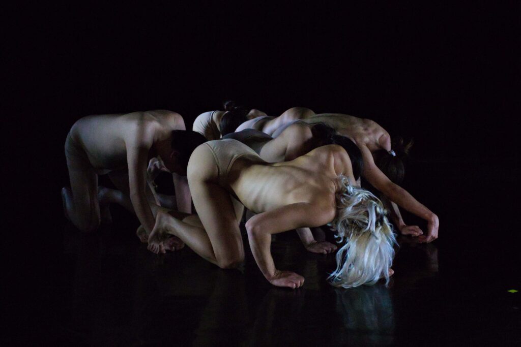 Dance by Philemon Mukarno, Vassia Zorbali, Eleni Kanavou, Evgenia Chetvertkova, Kyriakos Apostolidis Paimon, Rebecca Wijnruit, Styliana Apostolou, Marta Capaccioli. Choreograph by Federica Dauri.
