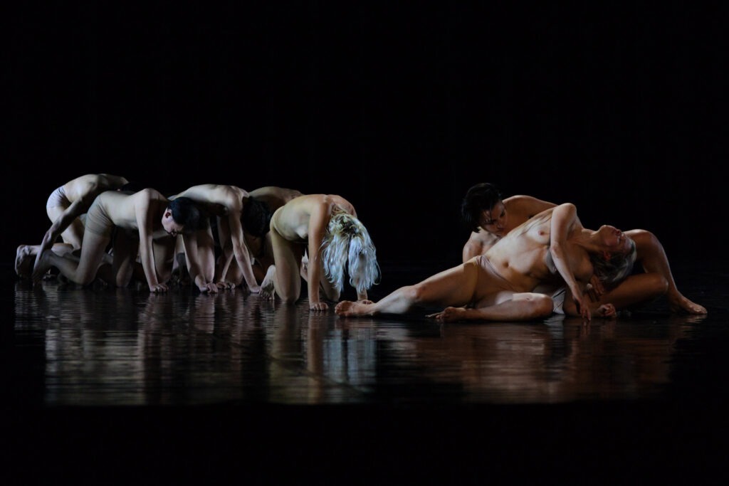 Dance by Philemon Mukarno, Vassia Zorbali, Eleni Kanavou, Evgenia Chetvertkova, Kyriakos Apostolidis Paimon, Rebecca Wijnruit, Styliana Apostolou, Marta Capaccioli. Choreograph by Federica Dauri.