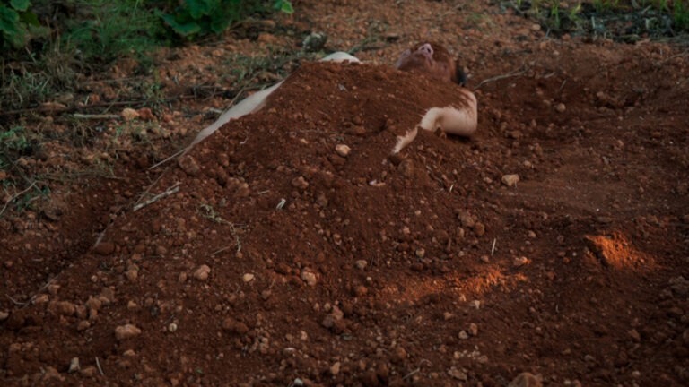 Philemon Mukarno buried himself Naked in the ground