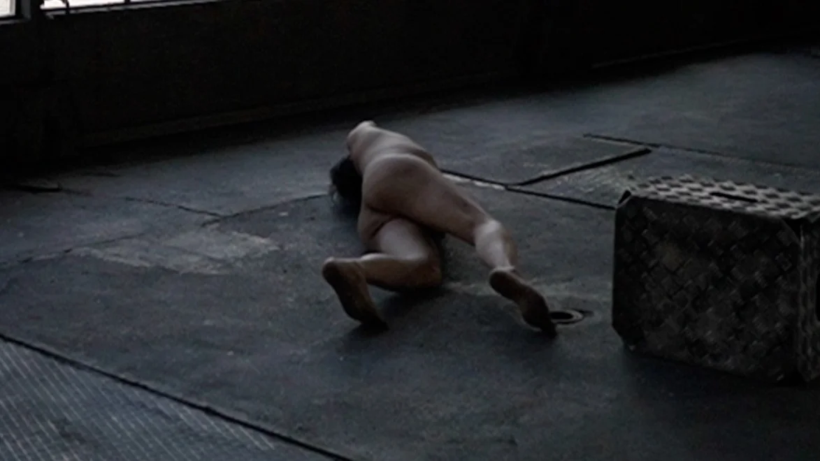 Human Installation - Arrangement of nude performative actions Old bus depot Hall F, Tasstalstrasse 86, Winterthur (Kunst im Depot) Performance August 21, 2022, 5 p.m. to 7 p.m Individual rehearsals between August 8th and 20th, 2022 Concept and direction Thomas Zolling