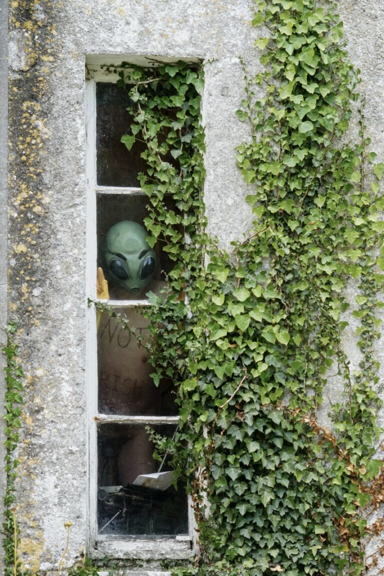 FK_08538 groot